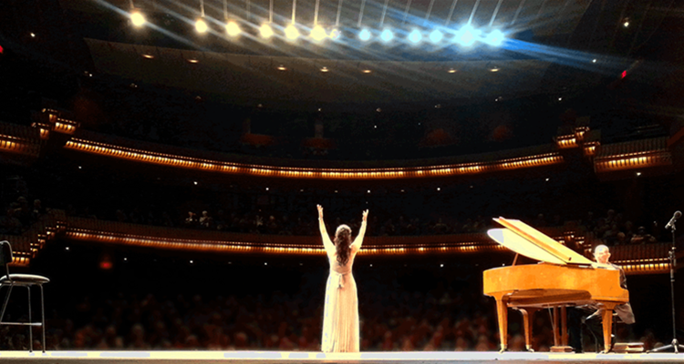 Professional Lighting System