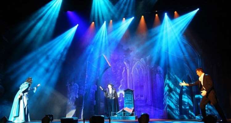 Professional Lighting System