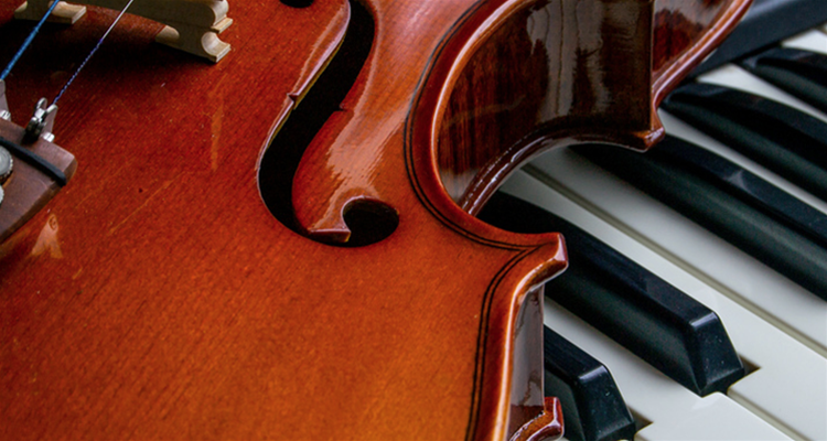 Professional Sound Systems